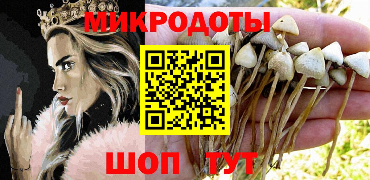 Галлюциногенные грибы Cubensis  Псилоцибиновые грибы Magic Shrooms  Вход с VPN  Луга 