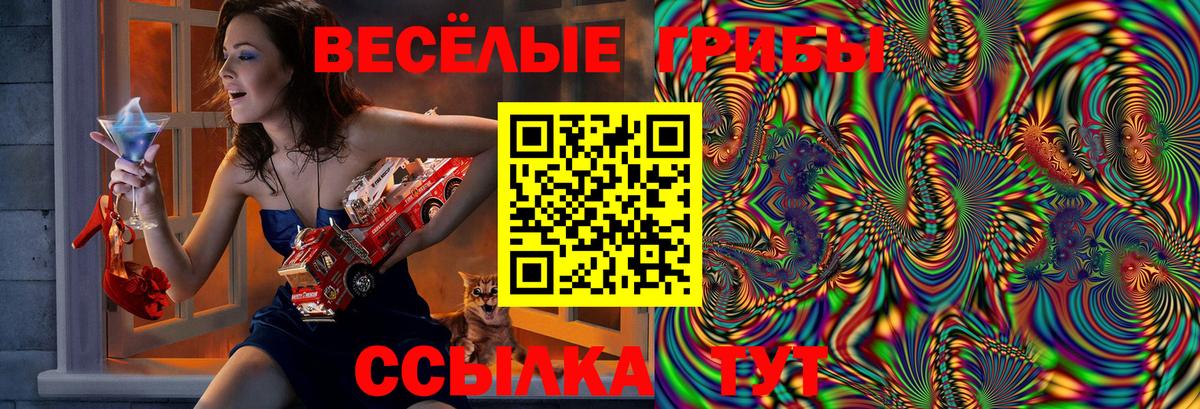 Псилоцибиновые грибы MAGIC MUSHROOMS  Луга 